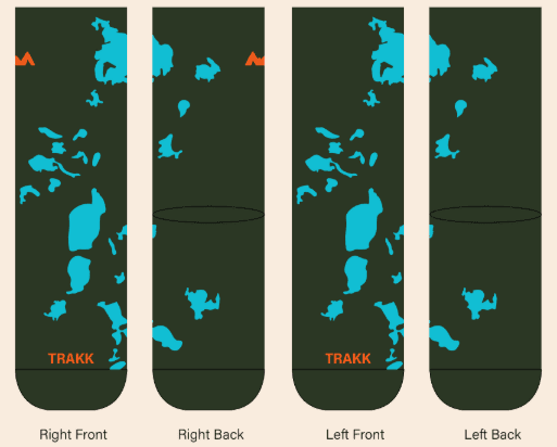 The Elk Island Sock, front and back, left and right