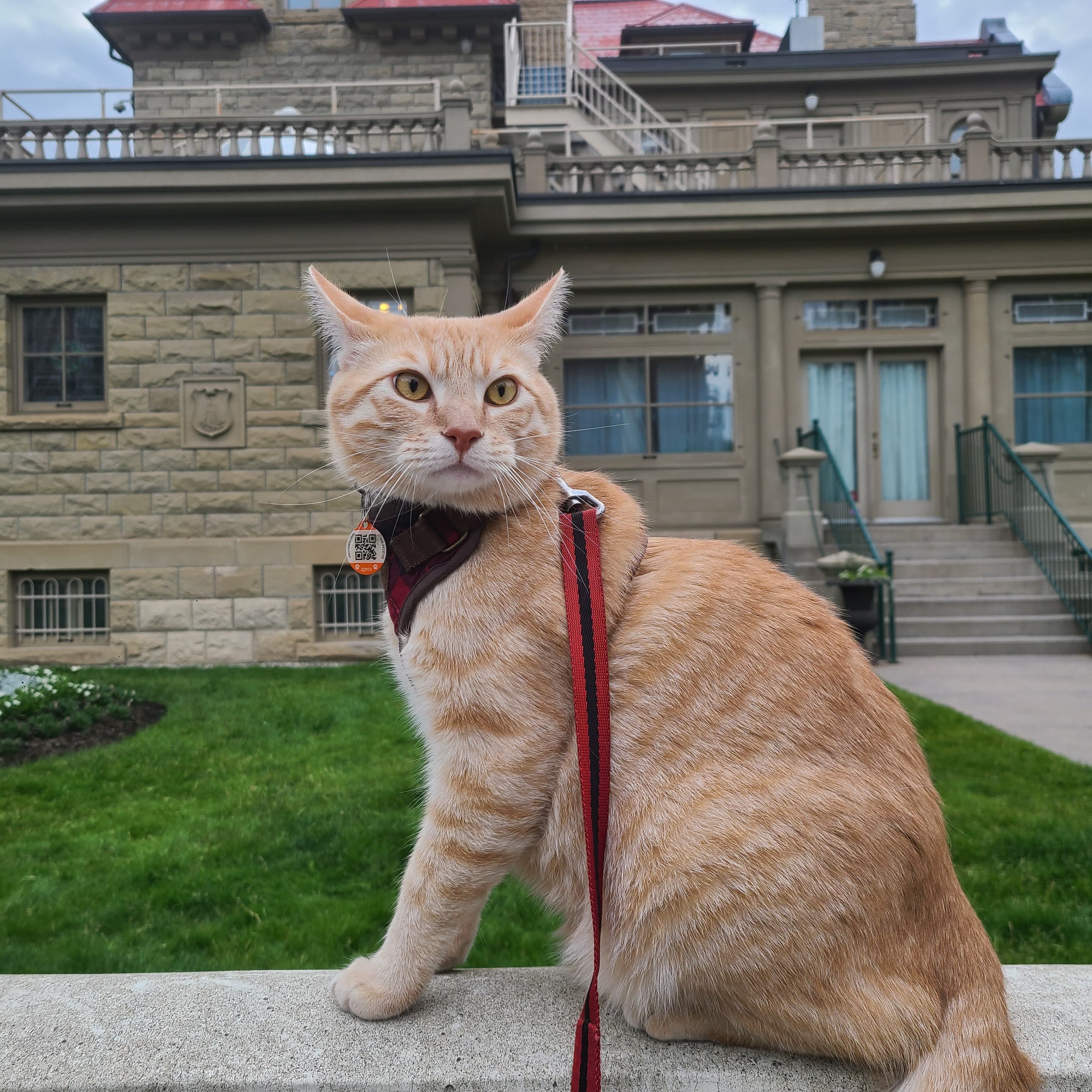Jack, Chief Adventure Officer